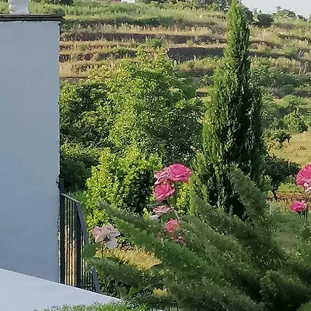Lantställe Etna Dependance *